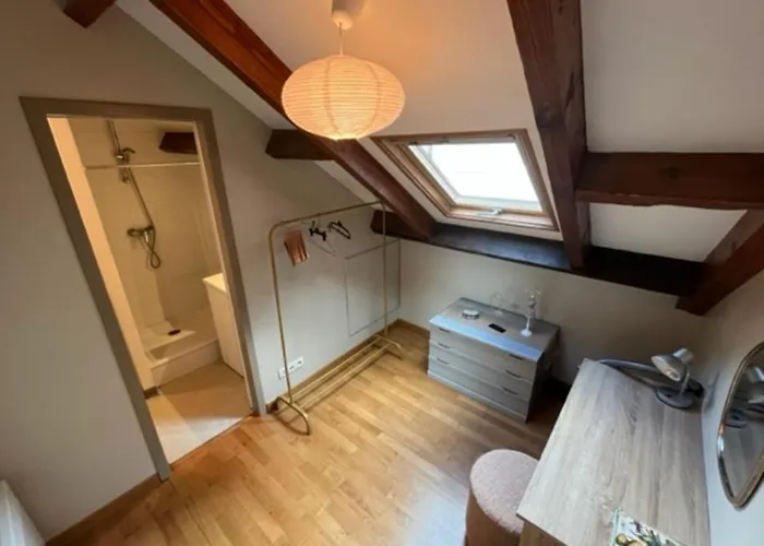 Comfortable Apartment Near The Heart Of Vannes